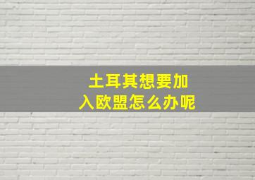 土耳其想要加入欧盟怎么办呢