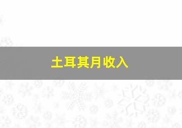 土耳其月收入