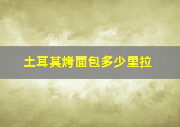 土耳其烤面包多少里拉