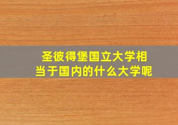 圣彼得堡国立大学相当于国内的什么大学呢