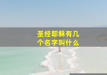 圣经耶稣有几个名字叫什么