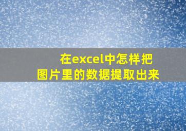 在excel中怎样把图片里的数据提取出来