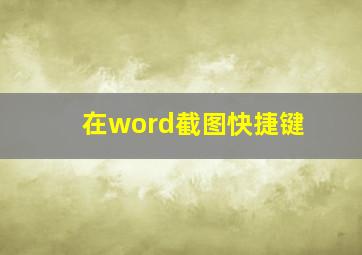 在word截图快捷键