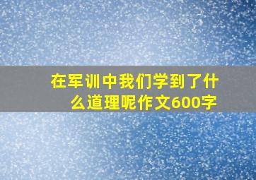 在军训中我们学到了什么道理呢作文600字