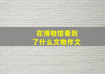 在博物馆看到了什么文物作文