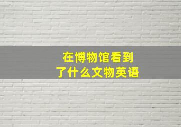 在博物馆看到了什么文物英语