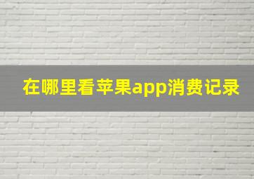 在哪里看苹果app消费记录