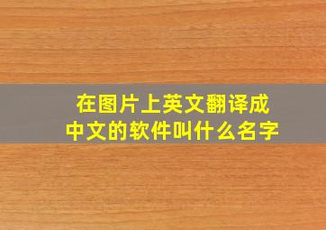 在图片上英文翻译成中文的软件叫什么名字