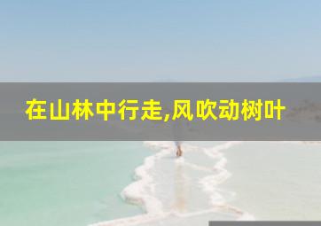 在山林中行走,风吹动树叶