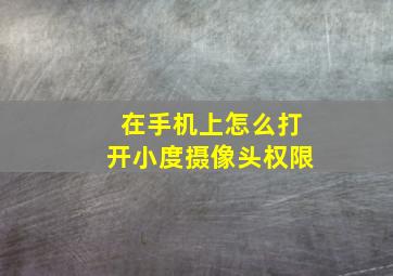 在手机上怎么打开小度摄像头权限