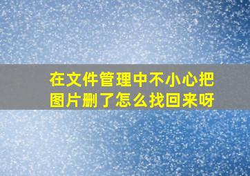 在文件管理中不小心把图片删了怎么找回来呀