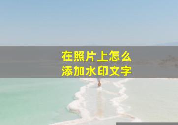 在照片上怎么添加水印文字