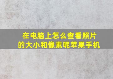 在电脑上怎么查看照片的大小和像素呢苹果手机