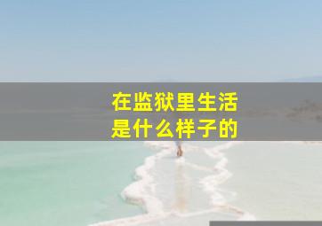 在监狱里生活是什么样子的