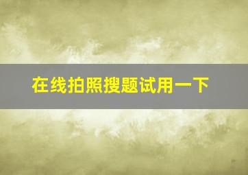 在线拍照搜题试用一下