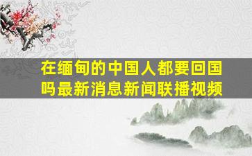 在缅甸的中国人都要回国吗最新消息新闻联播视频