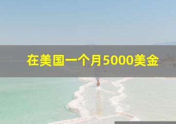 在美国一个月5000美金