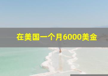 在美国一个月6000美金