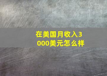 在美国月收入3000美元怎么样