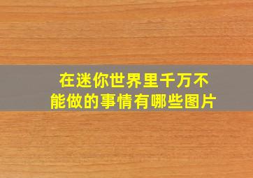 在迷你世界里千万不能做的事情有哪些图片