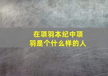 在项羽本纪中项羽是个什么样的人