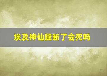 埃及神仙腿断了会死吗