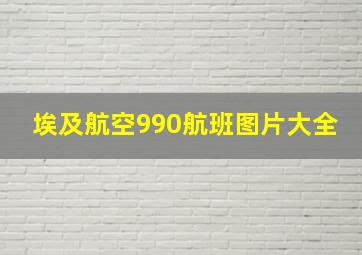 埃及航空990航班图片大全