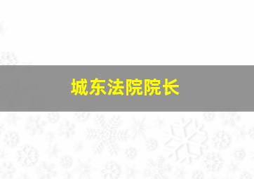 城东法院院长