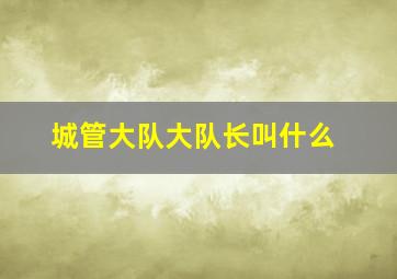 城管大队大队长叫什么