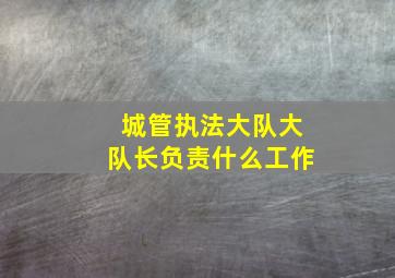 城管执法大队大队长负责什么工作