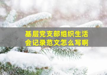 基层党支部组织生活会记录范文怎么写啊