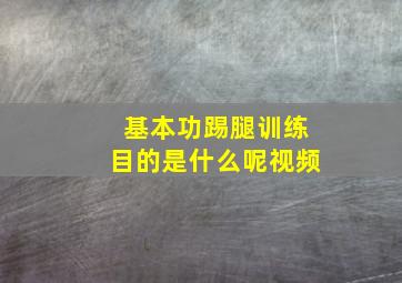 基本功踢腿训练目的是什么呢视频