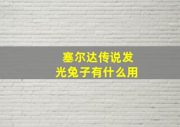 塞尔达传说发光兔子有什么用