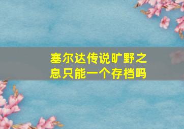 塞尔达传说旷野之息只能一个存档吗