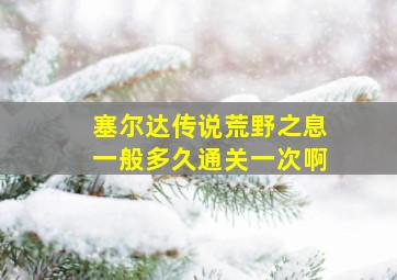 塞尔达传说荒野之息一般多久通关一次啊