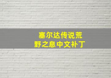 塞尔达传说荒野之息中文补丁