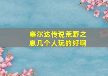 塞尔达传说荒野之息几个人玩的好啊