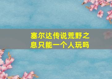 塞尔达传说荒野之息只能一个人玩吗