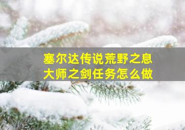 塞尔达传说荒野之息大师之剑任务怎么做