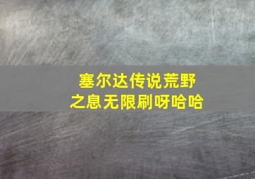 塞尔达传说荒野之息无限刷呀哈哈