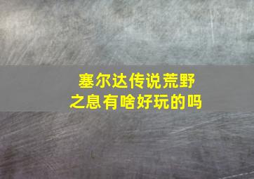 塞尔达传说荒野之息有啥好玩的吗