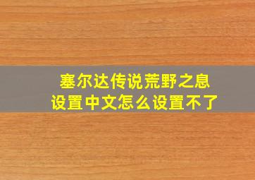 塞尔达传说荒野之息设置中文怎么设置不了