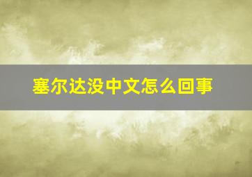 塞尔达没中文怎么回事