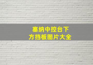 塞纳中控台下方挡板图片大全