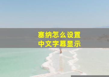 塞纳怎么设置中文字幕显示