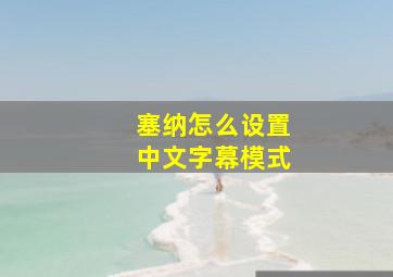 塞纳怎么设置中文字幕模式