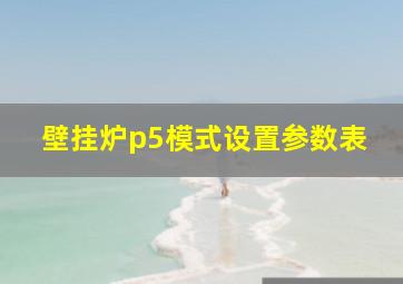 壁挂炉p5模式设置参数表