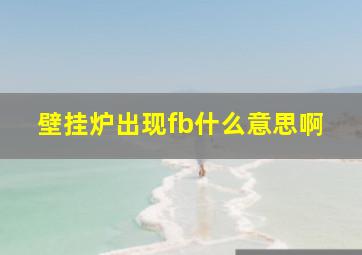 壁挂炉出现fb什么意思啊