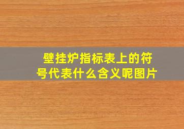 壁挂炉指标表上的符号代表什么含义呢图片