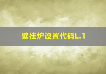 壁挂炉设置代码L.1